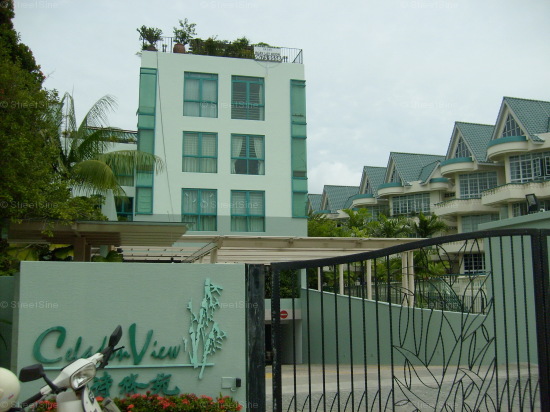 Celadon View (D17), Apartment #1179232